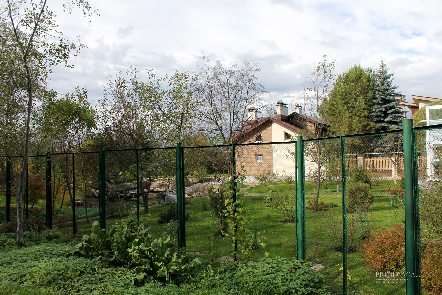 Kashino (Кашино)